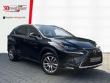 Lexus NX 300h 2.5 Hybrid 4x4 Launch +LED +Navi +Sitzhe - Lexus NX 300: H