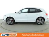 Audi SQ5 3.0 V6 TDI quattro Competition Aut.*NAVI*CAM - gebrauchte Audi SQ5 aus dem Jahr 2017