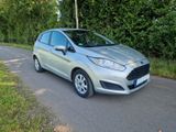 Ford Fiesta 1,5 TDCi 70kW Trend ECOnetic Trend - Ford Fiesta mit Diesel-Antrieb: Econetic