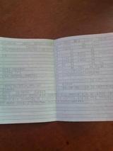 Opel Movano - Opel Movano aus 2008