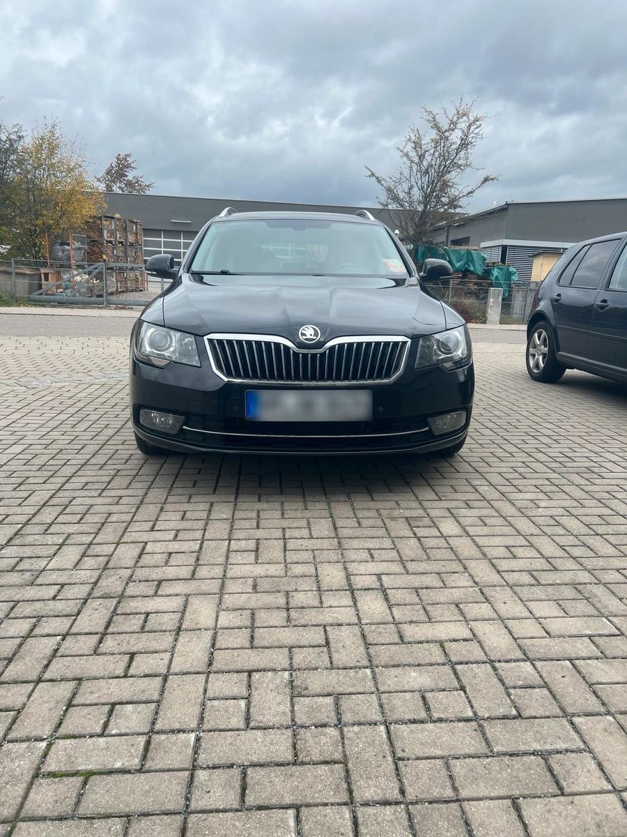 Skoda Superb 2014 — вигляд ззаду
