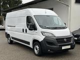 Fiat Ducato Kasten L4H2 /KLIMA / KAMERA / AHK / LED / - Fiat Gebrauchtwagen von 2021