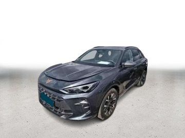 Cupra Terramar - 2