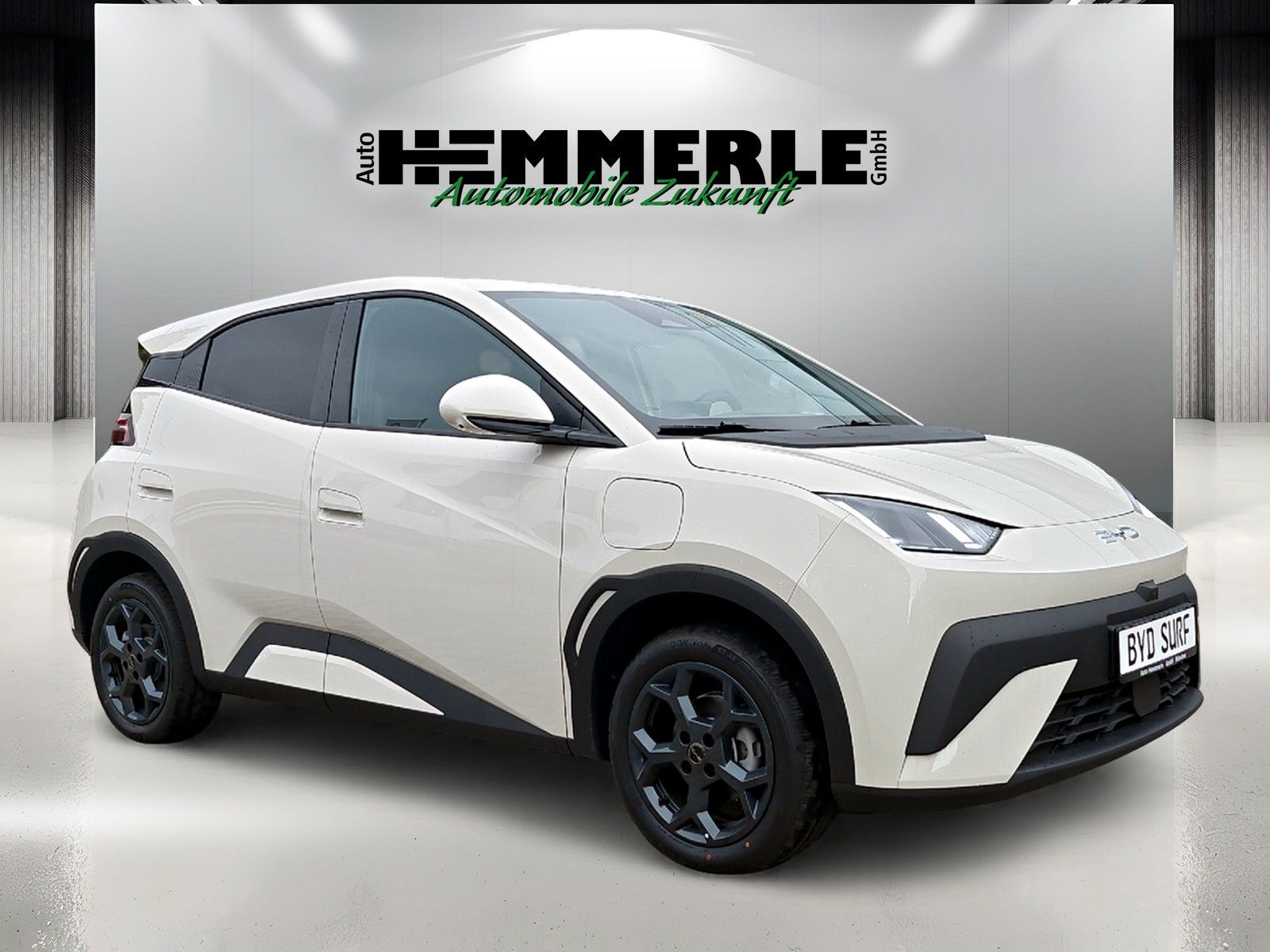 BYD DOLPHIN - Bild 6