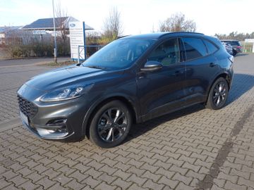 Bild 3 Ford Kuga ST-Line (190 PS)FHEV,NAVI,SHZ