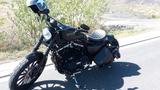 Harley-Davidson 883 XL N Iron  Matt Schwarz  - Offers