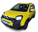 Fiat Panda 1.0 Hybrid 70cv Pandina Cross - Fiat Panda Jahreswagen