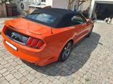 Ford Mustang V6  - Ford Mustang: Cabrio, V6