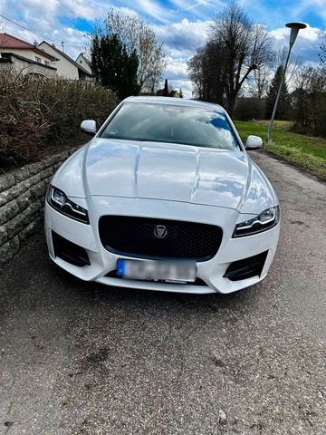 Jaguar XF 30d R-Sport VOLL!