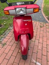 Honda Lead 80 - HONDA LEAD