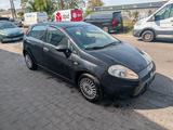 Fiat Punto - Fiat Punto in Ludwigshafen