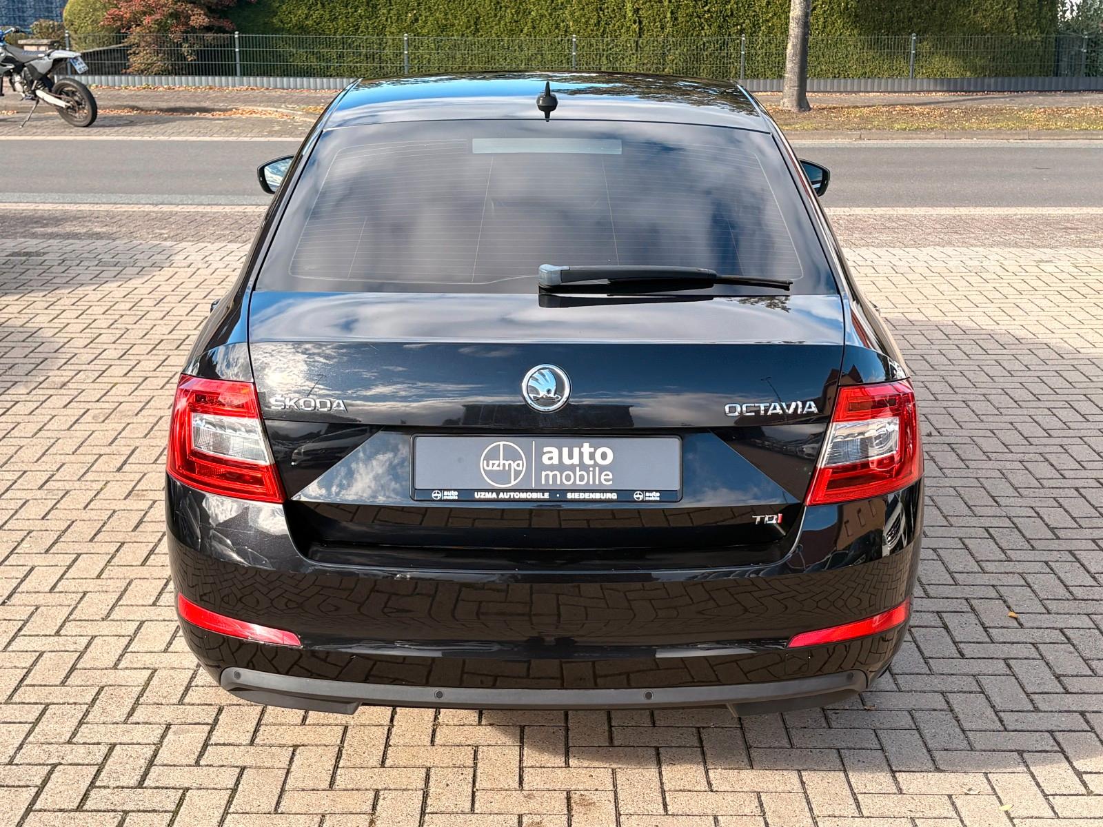 Skoda Octavia 2.0 TDI, Aut., Leder, Xenon, Service neu