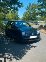 Volkswagen VW Lupo 1.4 MPI 60 PS Zahnriemen neu ! - Volkswagen Lupo: 60 Ps