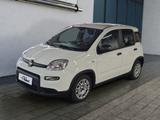 Fiat Panda 1.0 GSE Hybrid City Plus (312) - Fiat Panda 312
