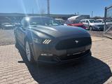 Ford Mustang 3,7 US MODELL - Ford Mustang: Us