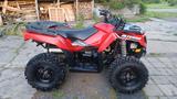 Arctic Cat Quad, ATV, 700 XT wie neu, 2018,Perfekter Zustan - QUAD ATV