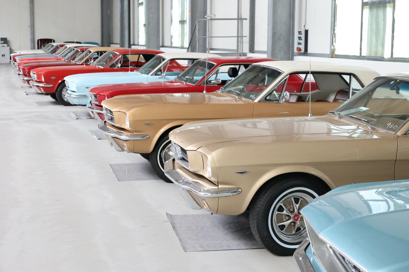 showroom-image-main