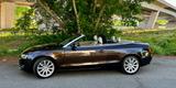 Audi A5 3.0 TDI (DPF) S tronic quattro Cabriolet - - Audi A5: Braun, Cabrio