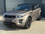 Land Rover Range Rover Evoque Dynamic - mit Diesel-Antrieb: Beige, Vollleder