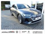 Audi e-tron 55 quattro 300KW S line AHK/LED/PDC - graue Audi e-tron