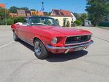 Ford Mustang  Cabrio 289 Oldtimer - Ford Mustang 289 Gebrauchtwagen
