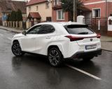 Lexus UX 250h AWD Luxury Line HUD, Schiebedach - Lexus UX: Luxury Line