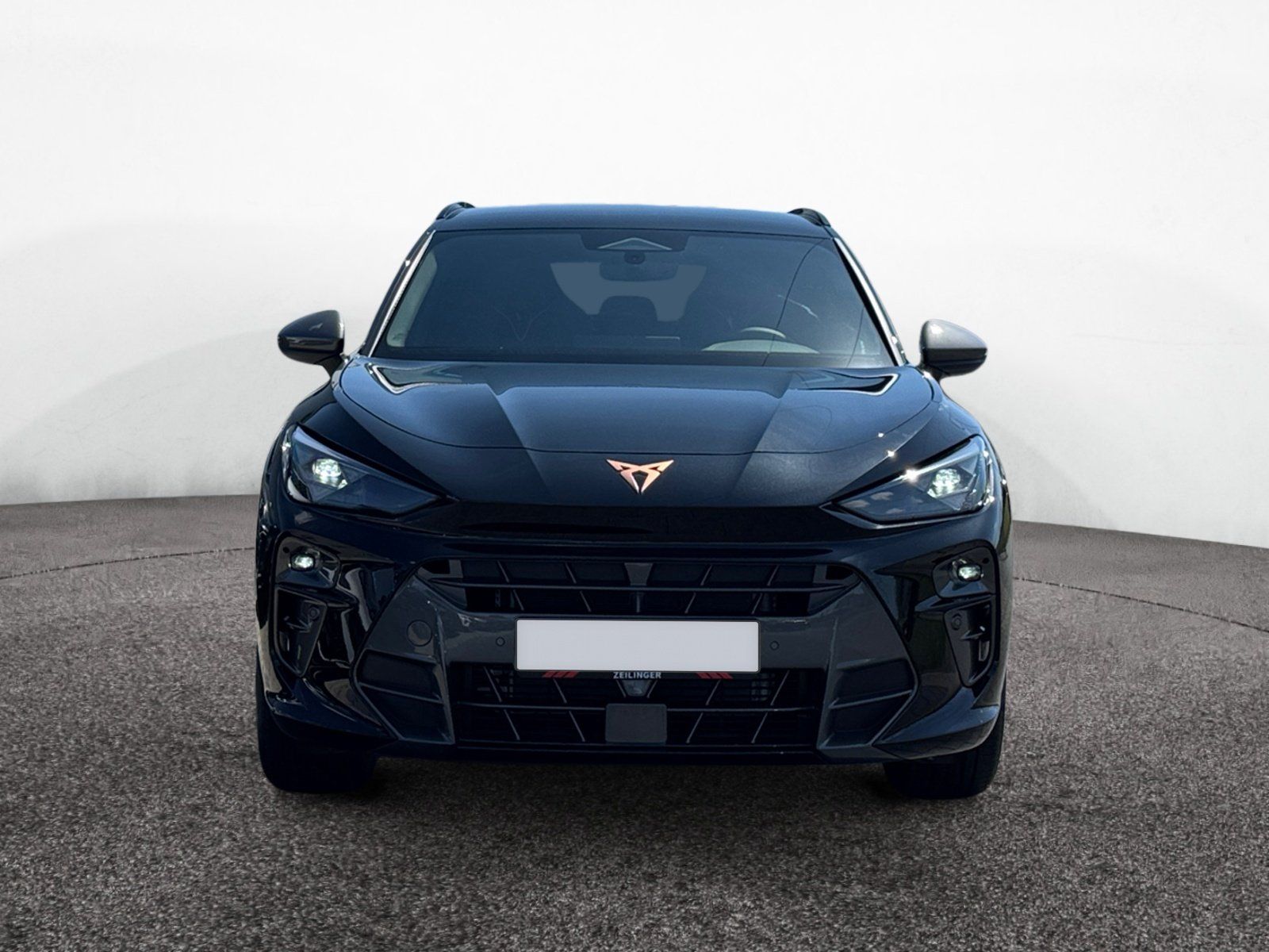 Cupra Terramar - Bild 3