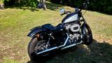Harley-Davidson Sportster XL1200N - HARLEY-DAVIDSON 2012 SPORTSTER