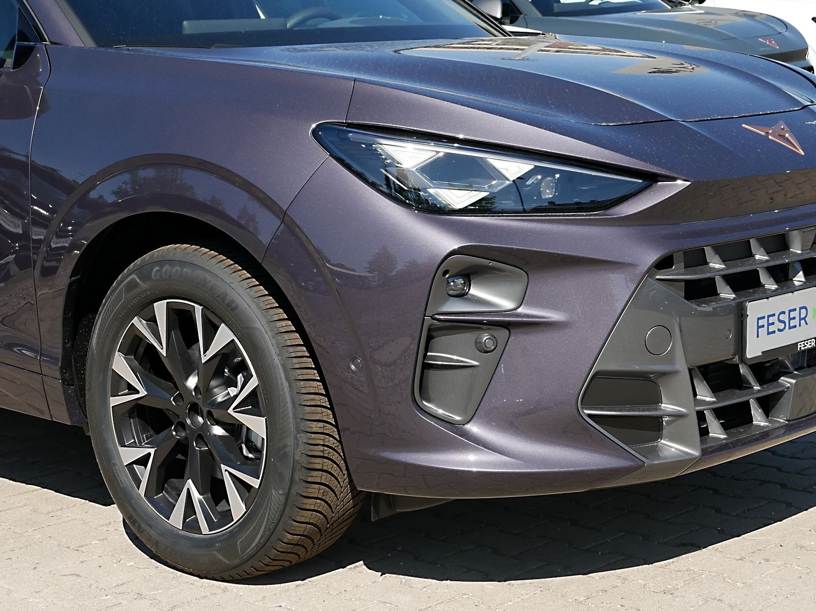 Cupra Terramar - Bild 13