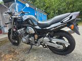 Suzuki  GSF 600 Bandit | EZ 2000 | TÜV bis 2026 - Offers
