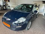 Fiat Punto  1.2 als Sondermodell "Pop" - gebrauchte Fiat Punto aus dem Jahr 2015