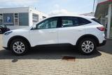 Ford Kuga 2.0 M-Hybrid LED Navi Android Apple SYNC - Ford Kuga: Weiß