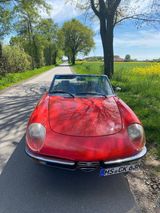 Alfa Romeo Spider 2000 - gebrauchte Alfa Romeo Spider aus dem Jahr 1978