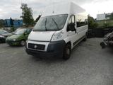 Fiat Ducato Grossr.-Kasten 35 130 verglast  L4 - Fiat Ducato Gebrauchtwagen in Stuttgart