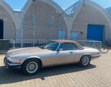 Jaguar XJS V12 Cabrio - BJ 1988 - silber - Vollleder - Jaguar XJS: Coupe
