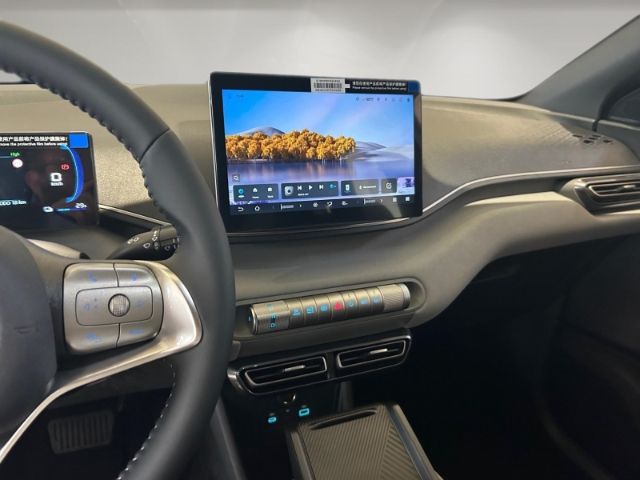 BYD DOLPHIN SURF