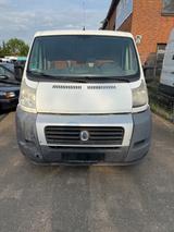 Fiat Ducato 2.2 JTD Kasten 28 100 - Offers matching your search criteria