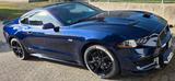 Ford Mustang Fastback GT 5.0 Ti-VCT V8 Shelby Optic 