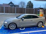 Audi S5 Coupe - Audi S5 in Dortmund