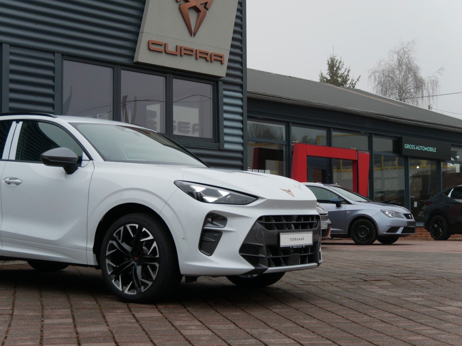 Cupra Terramar - Bild 7