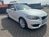 BMW 220 i Cabrio/Luxury Line/Leder/Xenon/E-DACH - BMW 220 in Duisburg