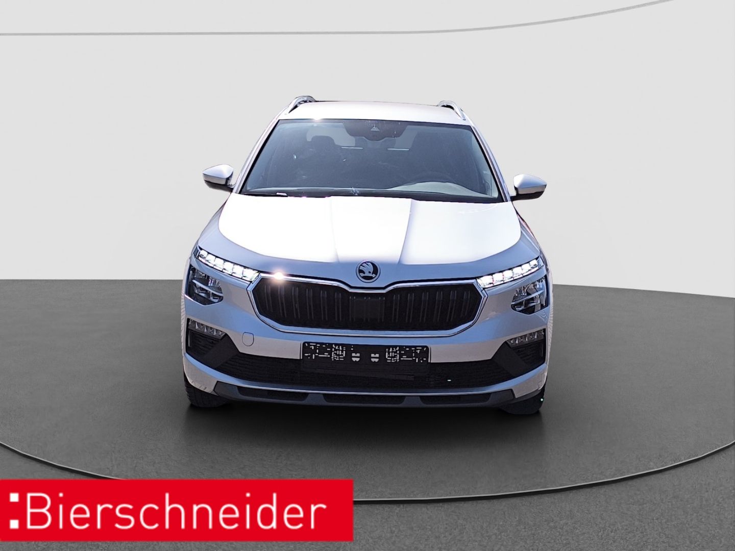 Skoda Kamiq 1.0 TSI DSG Selection LED RFK PDC imagem 2