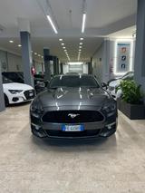 Andere Mustang MUSTUNG - Andere mit Benzin-Antrieb