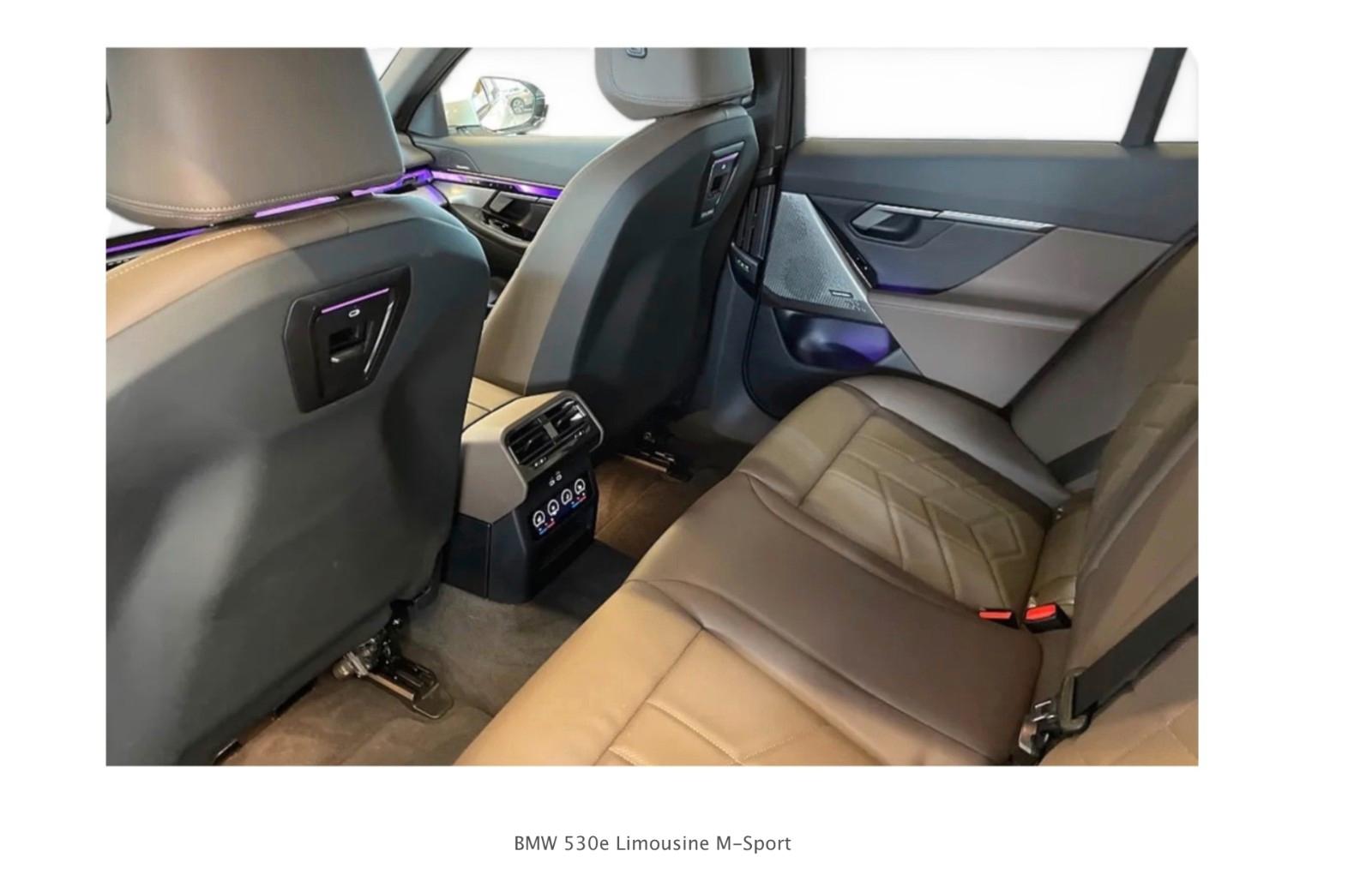 BMW 530e M Sport / PANO / AHK / HK / BRAUN LEDER