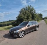 Mercedes-Benz C 200 CDI T - seltene Farbkombination
