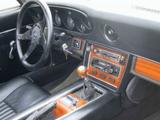 Andere Jensen Healey Cabrio - Andere: Jensen