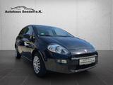 Fiat Punto Pop *Klima*TÜV Neu* - Fiat Punto: Pop