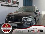Skoda Kamiq 1.0 TSI Klimaauto*Kamera*Smartlink*Temp*AP - Skoda Kamiq in Oldenburg