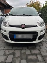 Fiat Panda - Fiat Panda Gebrauchtwagen in Aachen