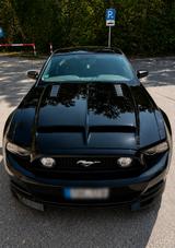 Ford Mustang GT 5.0 V8 Cervini - Shelby  - Ford Mustang: Schwarz, Shelby
